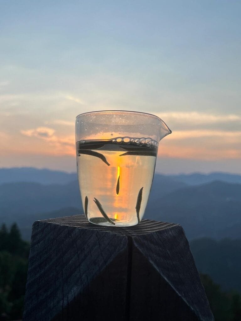 Tea Drinking Schedule