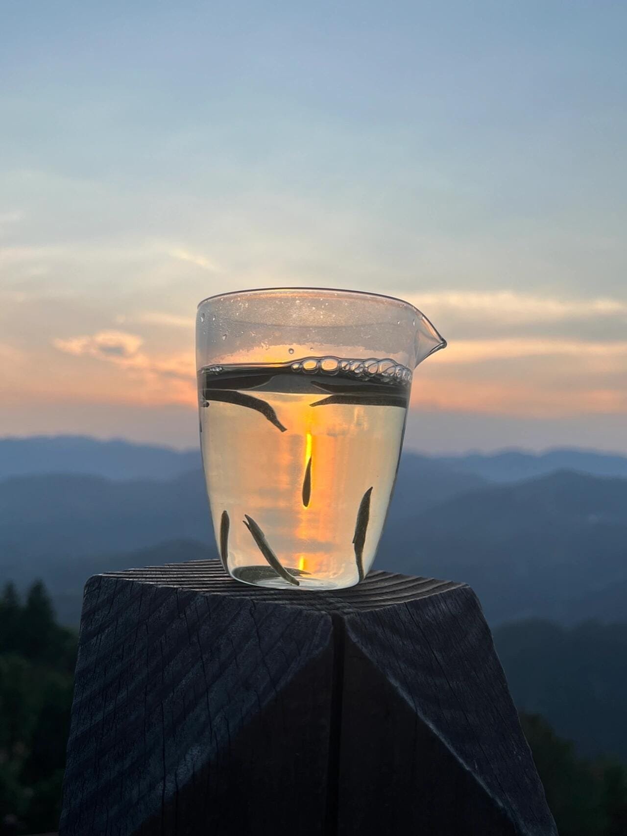 The Science of Drinking Tea: 5 Rules to Create Your Personalized & Healthy Tea Routine 1 Tea Drinking Schedule