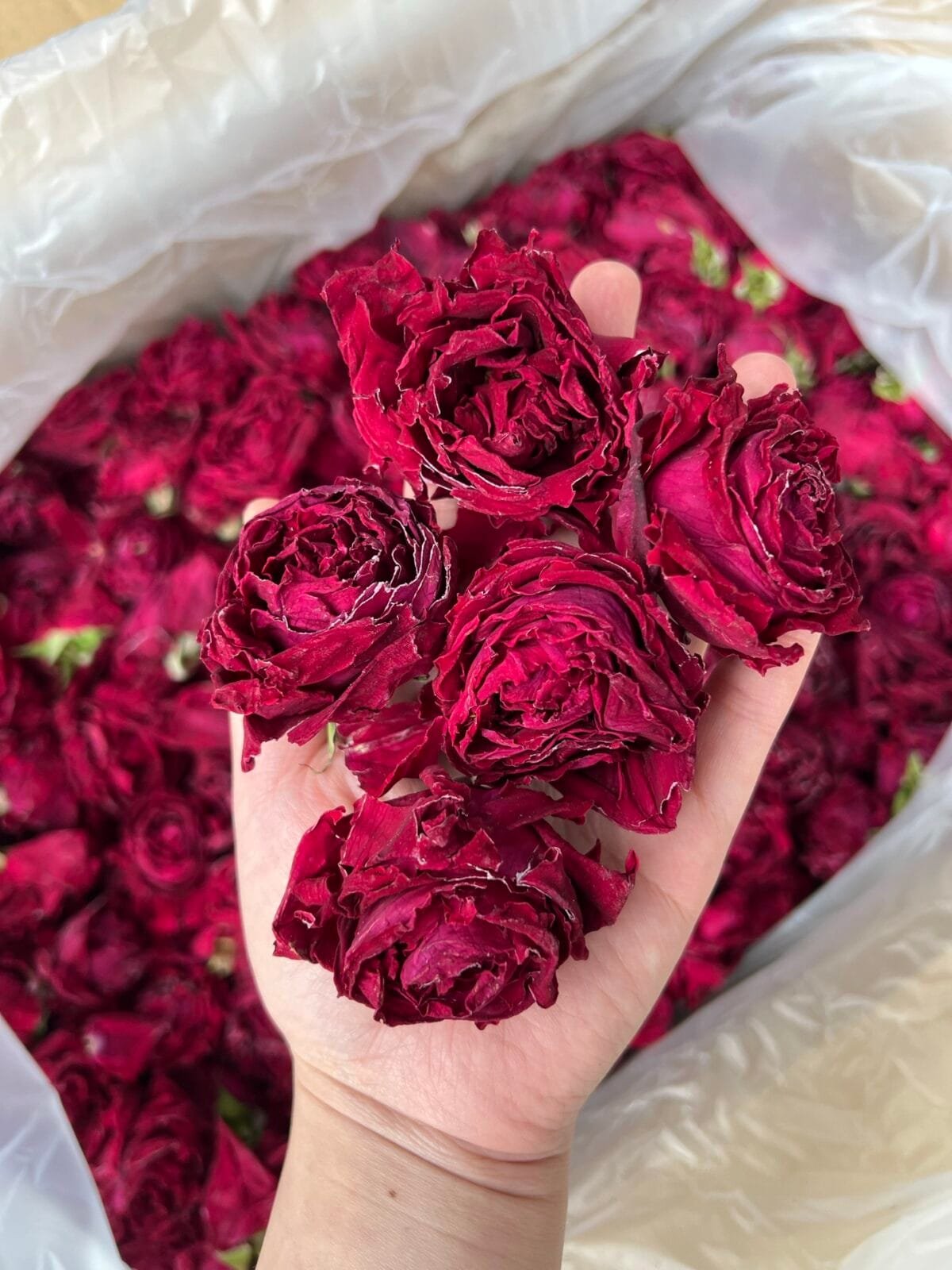 Yunnan Sunrise Rose Tea