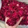 Freeze-Dried Black Rose Tea: 125g of Potent Anthocyanin-Rich Tea for Glowing Skin