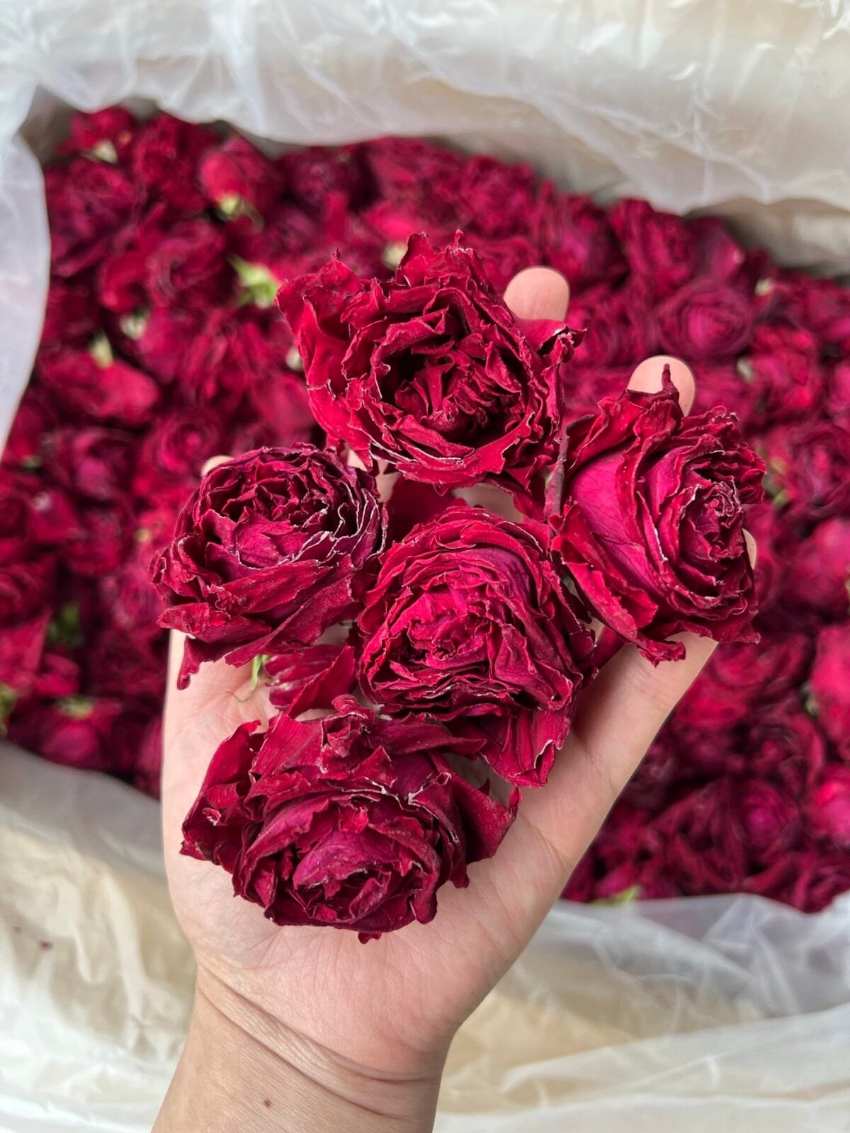 Freeze-Dried Black Rose Tea: 125g of Potent Anthocyanin-Rich Tea for Glowing Skin
