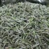 Fuding First Harvest White Peony King Tea: 250g of 2026’s Most Insanely Fresh Premium Mingqian White Tea 8 Premium Mingqian White Tea