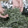 微信图片_20260518172705_1206_4 Fuding First Harvest White Peony King Tea: 250g of 2026’s Most Insanely Fresh Premium Mingqian White Tea