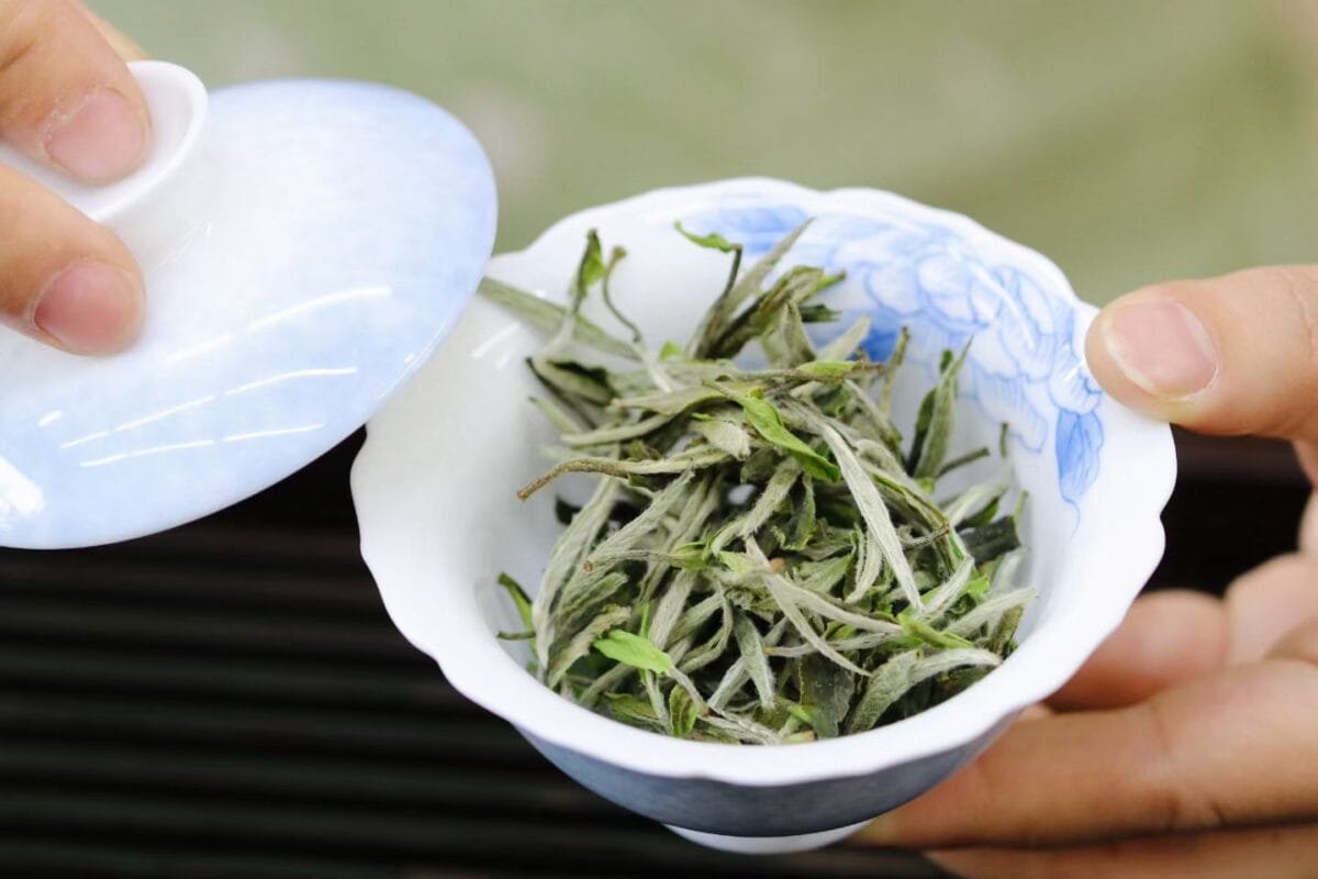 Fuding First Harvest White Peony King Tea: 250g of 2026’s Most Insanely Fresh Premium Mingqian White Tea 3 Bai Mu Dan Tea