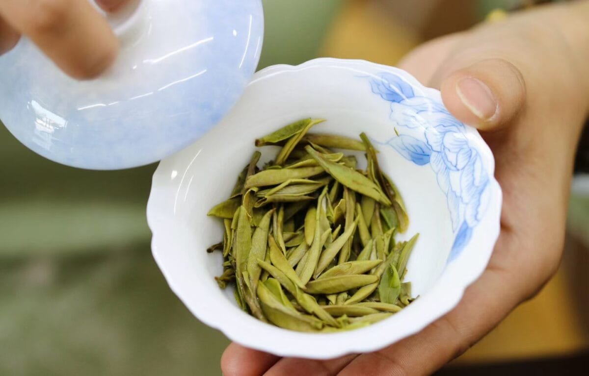 Fuding First Harvest White Peony King Tea: 250g of 2026’s Most Insanely Fresh Premium Mingqian White Tea 6 Fuding First Harvest White Peony King Tea: 250g of 2026’s Most Insanely Fresh Premium Mingqian White Tea