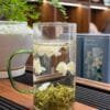 Chinese Flower Tea