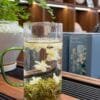 Fragrant Brew