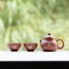 Pomelo Teapot
