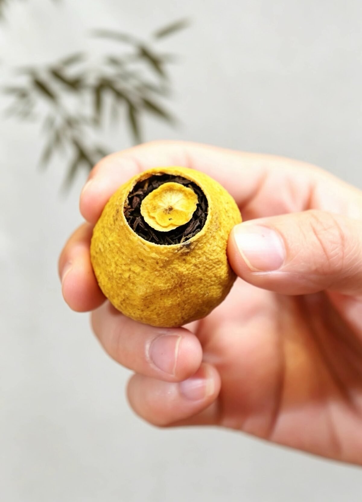 Lemon Ya Shi Xiang Oolong Tea: The 1 Energizing Lemon Infused Oolong for Vibrant Days