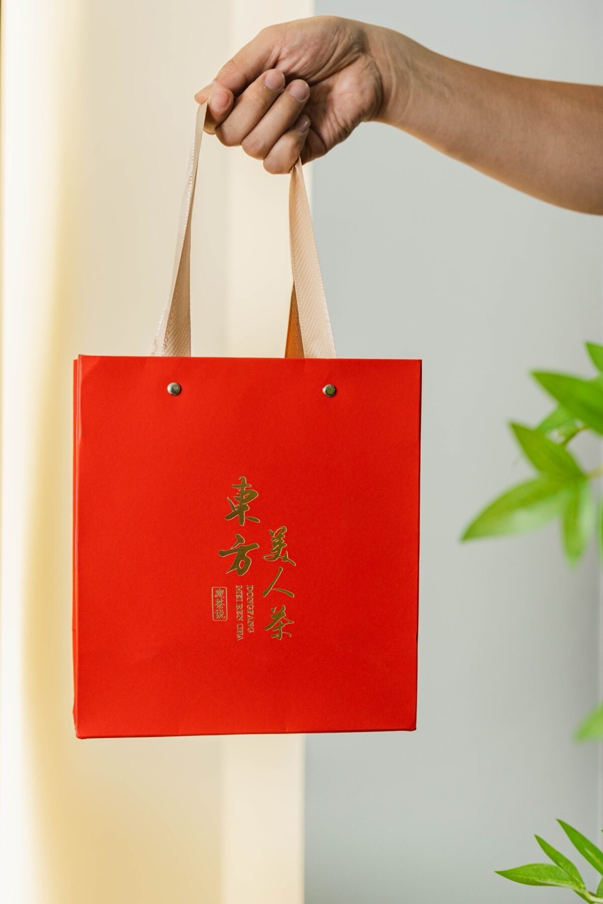 Oriental Beauty Oolong Tea: The 1 Honey Apple Oolong for Silky Smooth Sipping