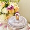 Titanium Electric Kettle: 1.5L Pure Titanium Health Pot, Serene Brewing Energy 24 Titanium Electric Kettle: 1.5L Pure Titanium Health Pot, Serene Brewing Energy