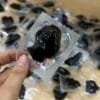 Jiuhua Mountain Polygonatum: 9-Times Steamed, Regret Not Buying Sooner 11 Soft Sweet Chinese Tonic Herb