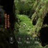 Mild Smooth Wuyi Rock Tea