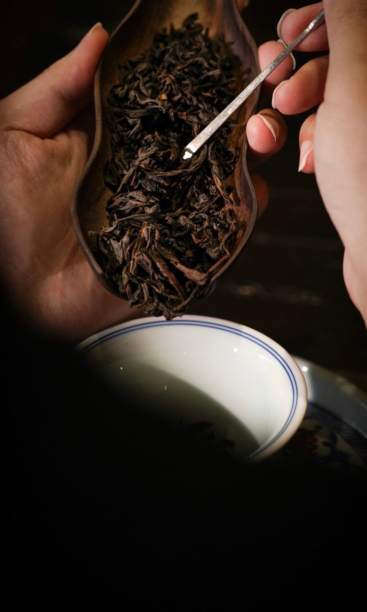 10+ Steeps Dark Leaf Oolong