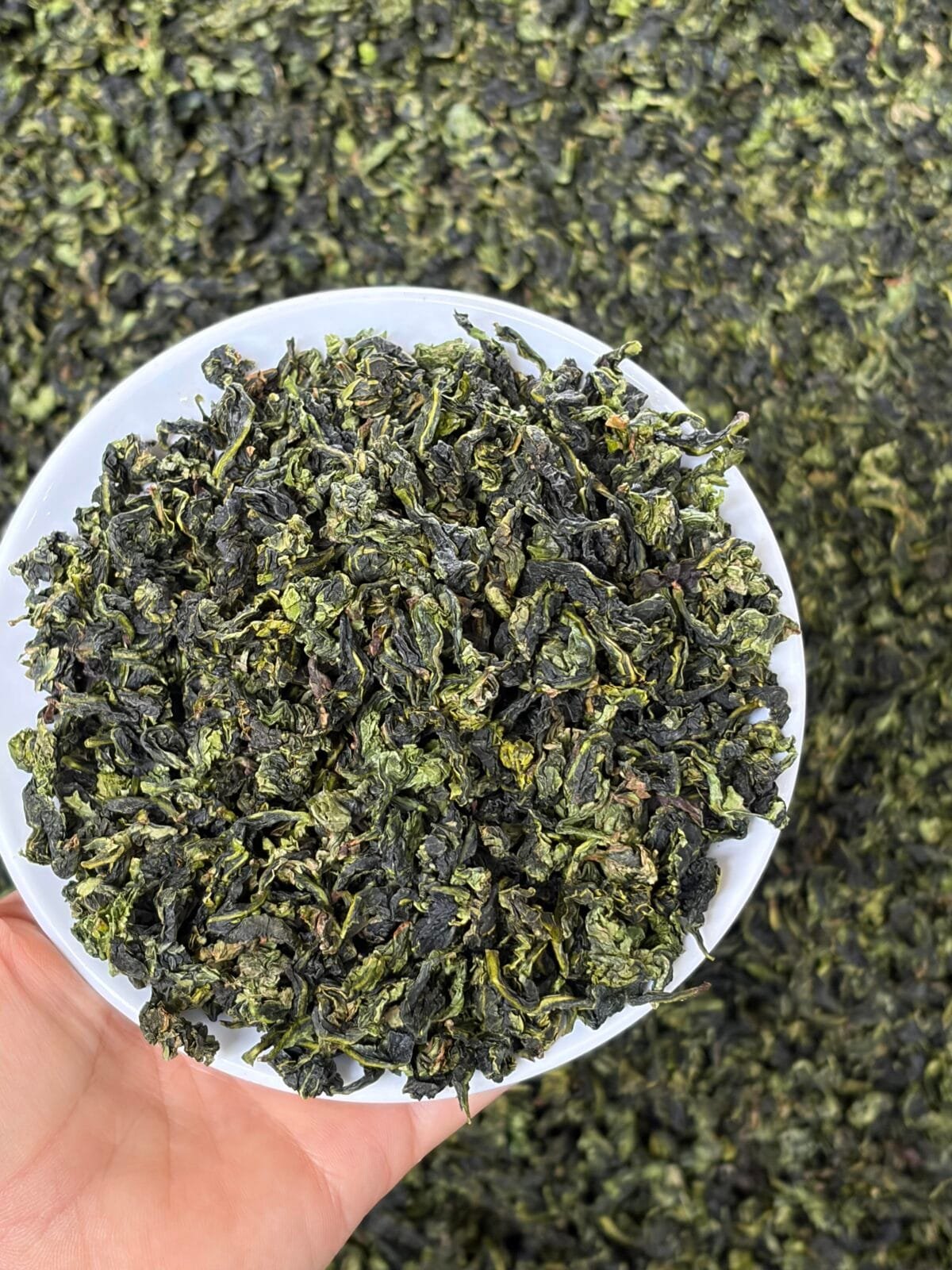 Anxi Orchid Tieguanyin: 250g Tieguanyin Oolong Tea, Pure Serene Joy 4 Tieguanyin oolong tea