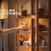 LED lit curio cabinet