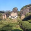 Matouyan Rougui Oolong